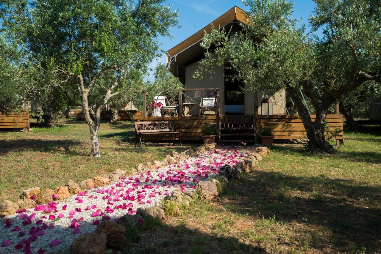 Agrikies Country Retreat Apartment Marathopoli Exterior photo