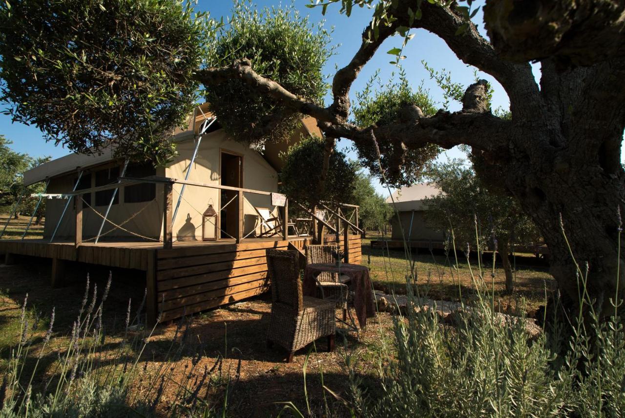 Agrikies Country Retreat Apartment Marathopoli Exterior photo
